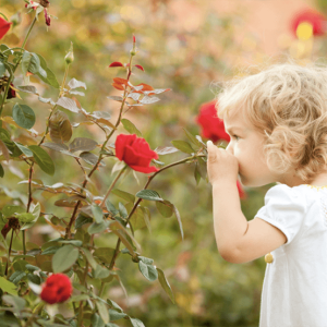 Jak se zbavit alergií